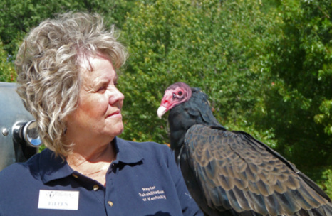 Eileen Wicker and Eo, Turkey Vulture at RROKI